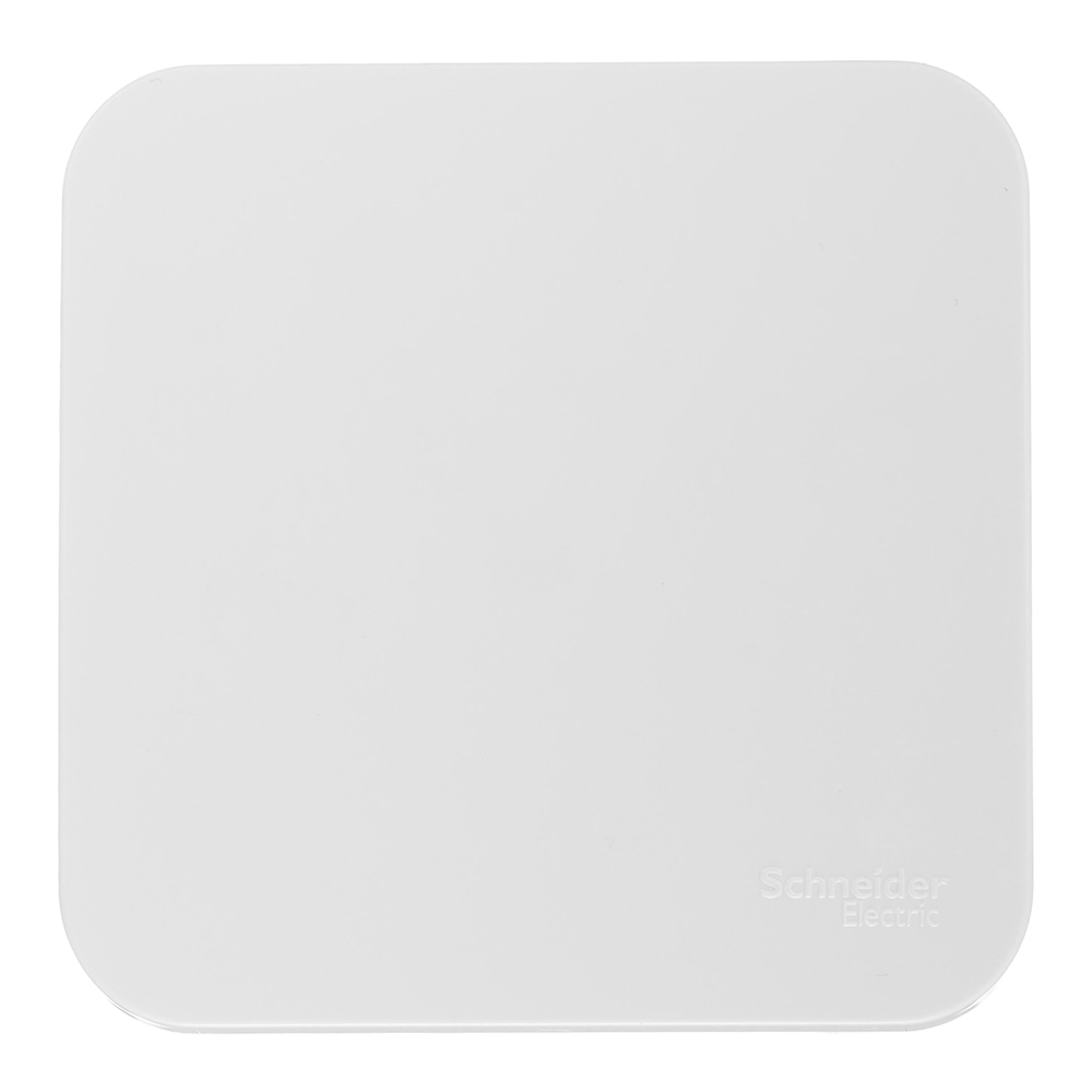 ������ ������ ������������� Systeme Electric Blanca ������������� ��������� ����� (BLNVA106011)   ����