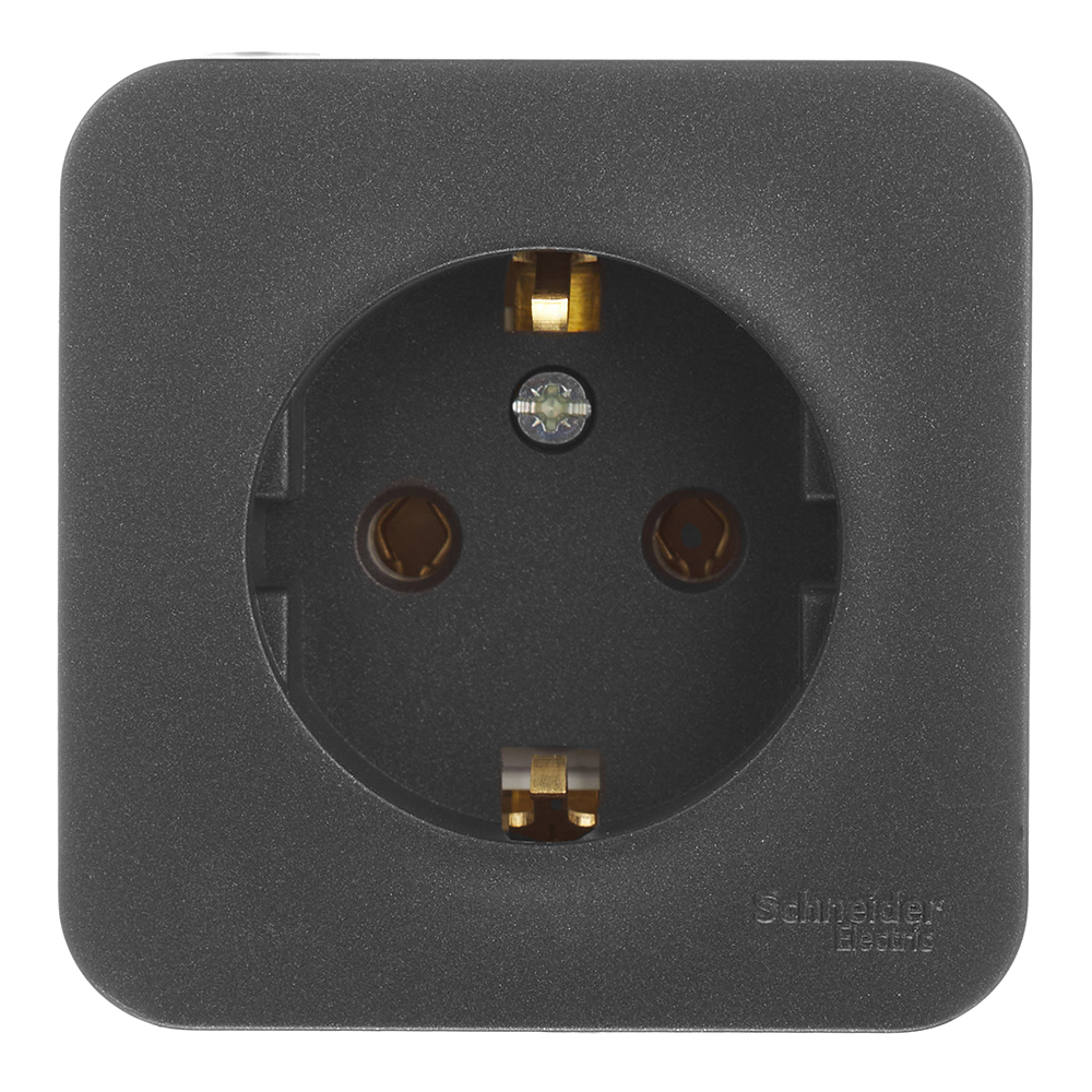 ������ ������ ������� Systeme Electric Blanca ��������� �������� (BLNRA010116)   ����
