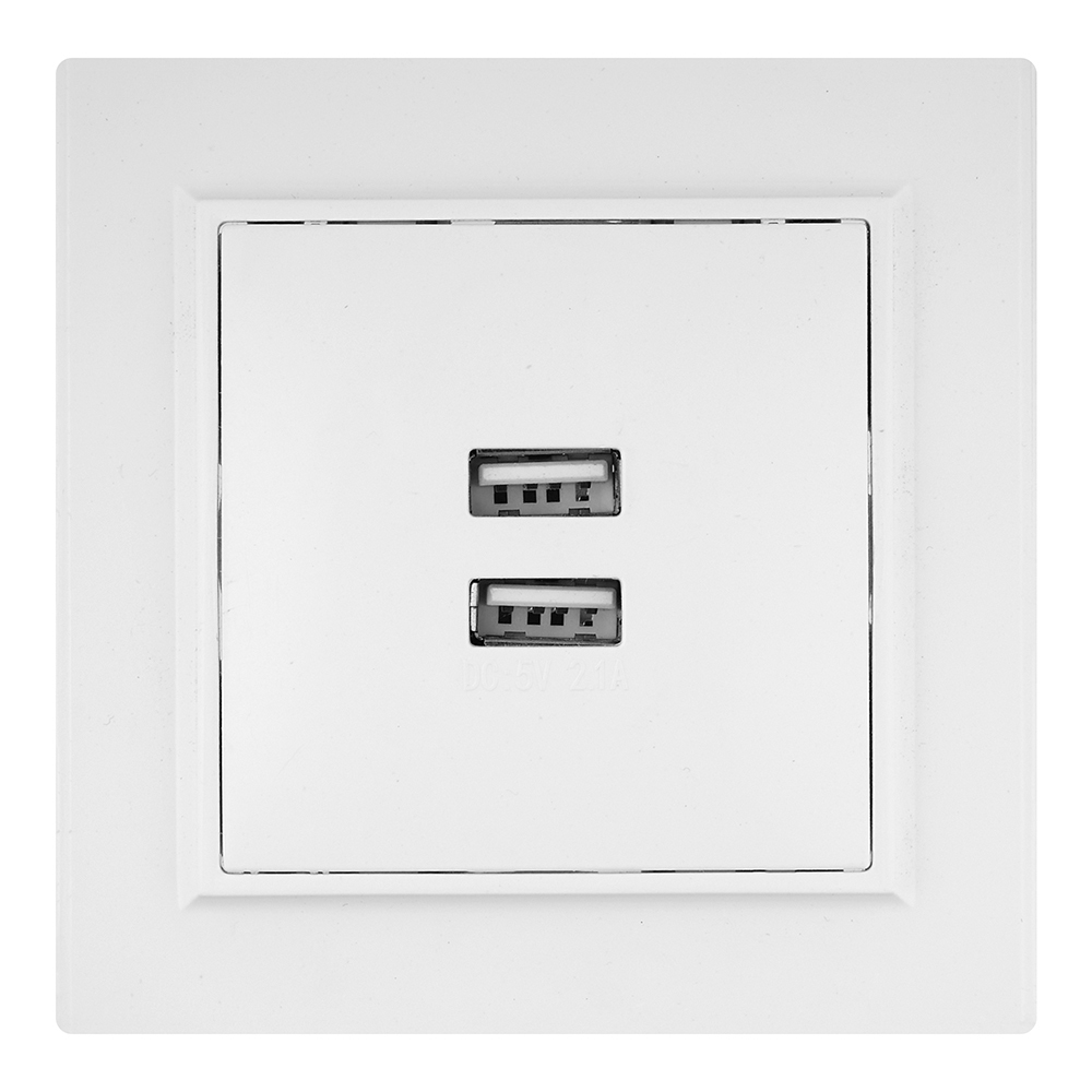 ������ ������ ������� USB EKF ����� ������������ ����� 2�USB-� (ERR-2USB-100)   ����