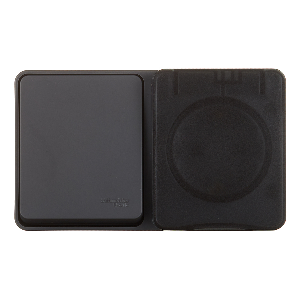 ������ ������ ���� ����������� � ������� Systeme Electric AtlasDesign Profi54 ������������� ��������� �������� (ATN544070)   ����