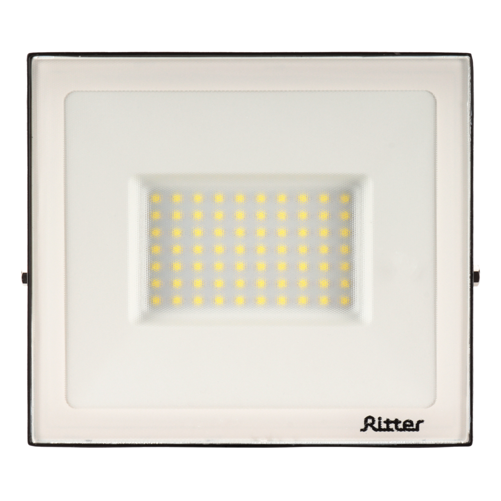 ������ ������ ��������� ������������ Ritter Profi 6500K 70 �� IP65 ������   ����