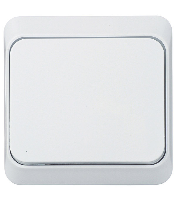 ������ ������ ����������� Systeme Electric ���� ������������� ��������� ����� (BA10-001b)   ����