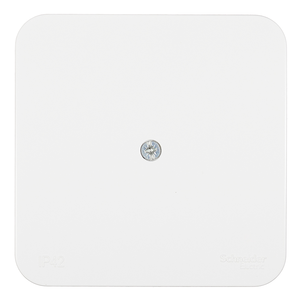 ������ ������ ������� ����������������� Systeme Electric Blanca ��������� ����� (BLNRK000011)   ����
