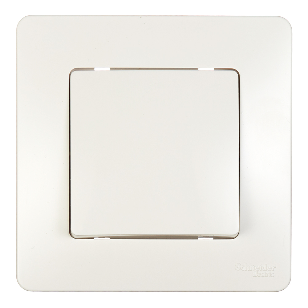 ������ ������ ����������� Systeme Electric Blanca ������������� ������������ �������� (BLNVS010102)   ����