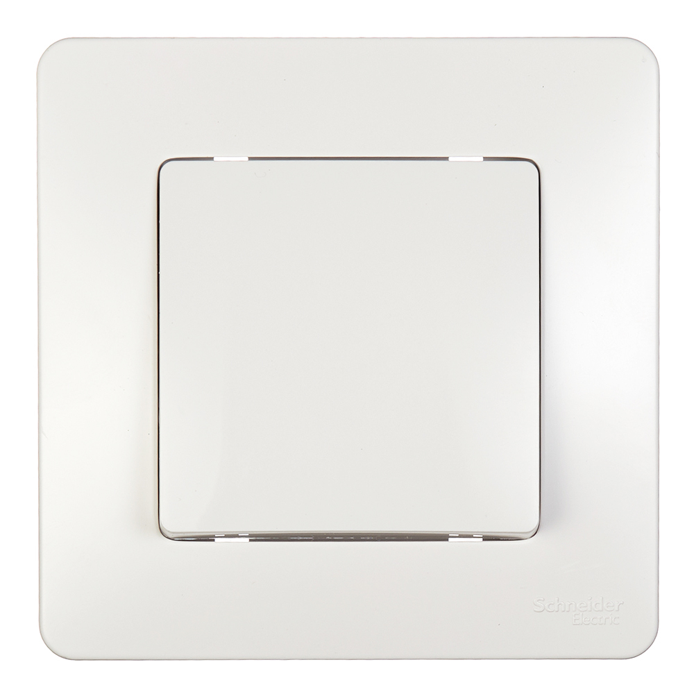 ������ ������ ������������� Systeme Electric Blanca ������������ ����� (BLNVS010601)   ����