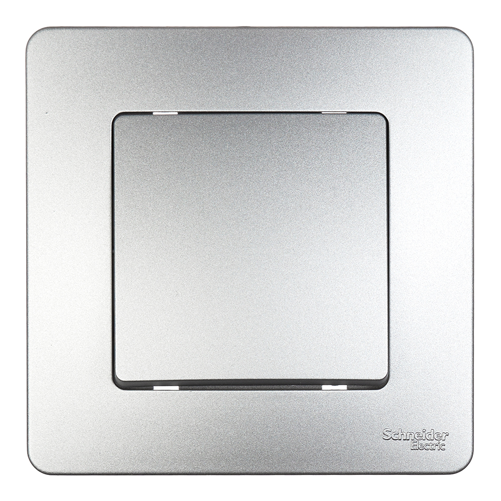 ������ ������ ������������� Systeme Electric Blanca ������������ �������� (BLNVS010603)   ����