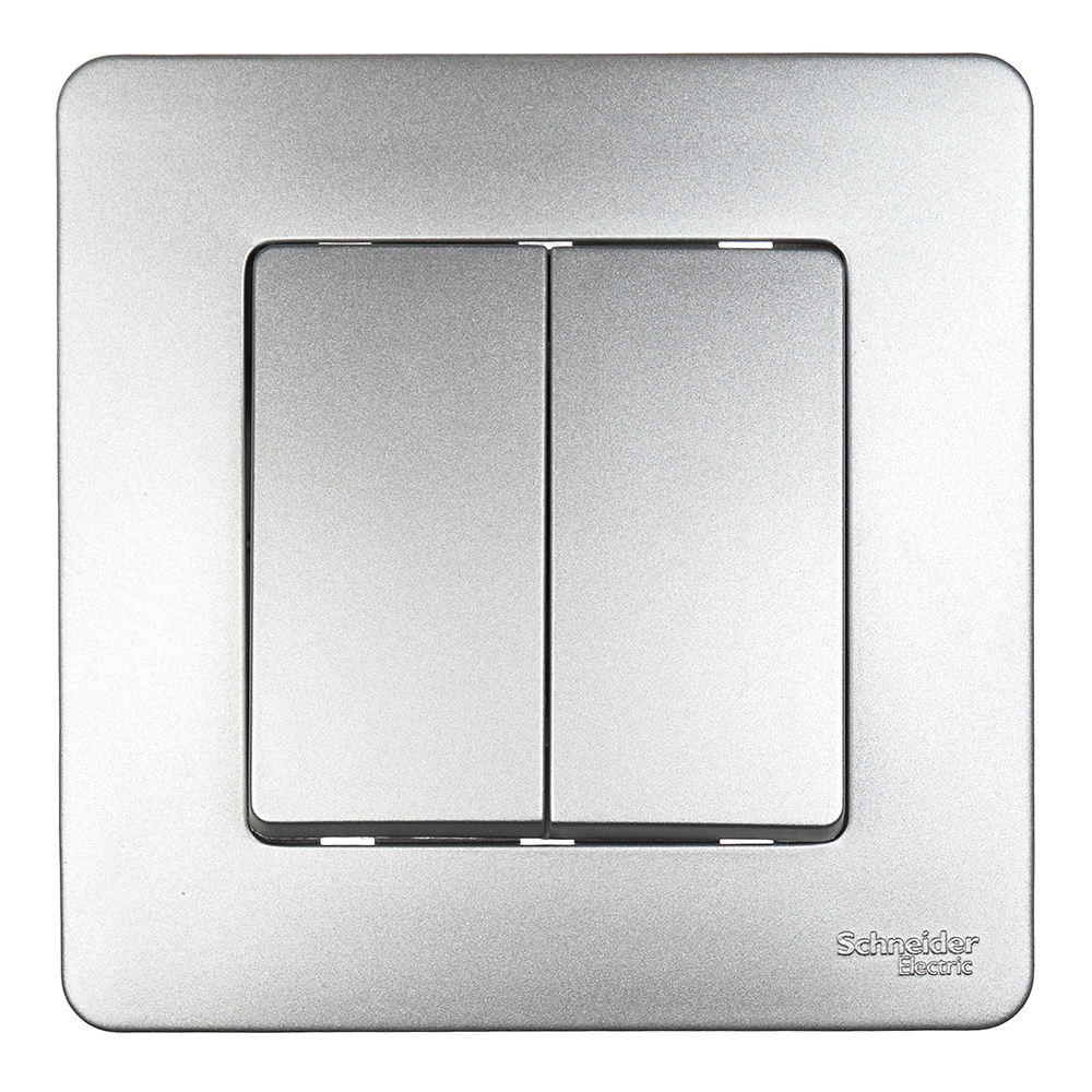 ������ ������ ������������� Systeme Electric Blanca ������������ �������� (BLNVS106603)   ����