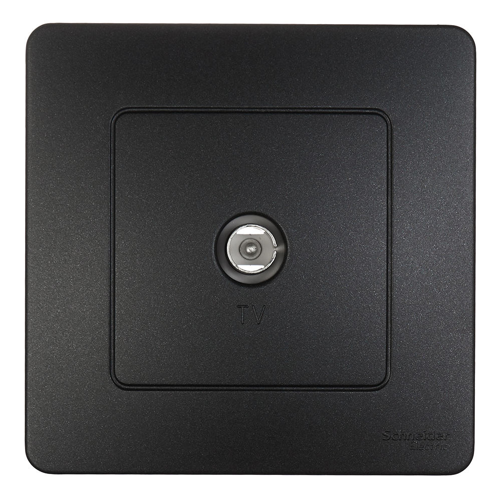 ������ ������ ������� ������������� Systeme Electric Blanca ������������ �������� (BLNTS000016)   ����