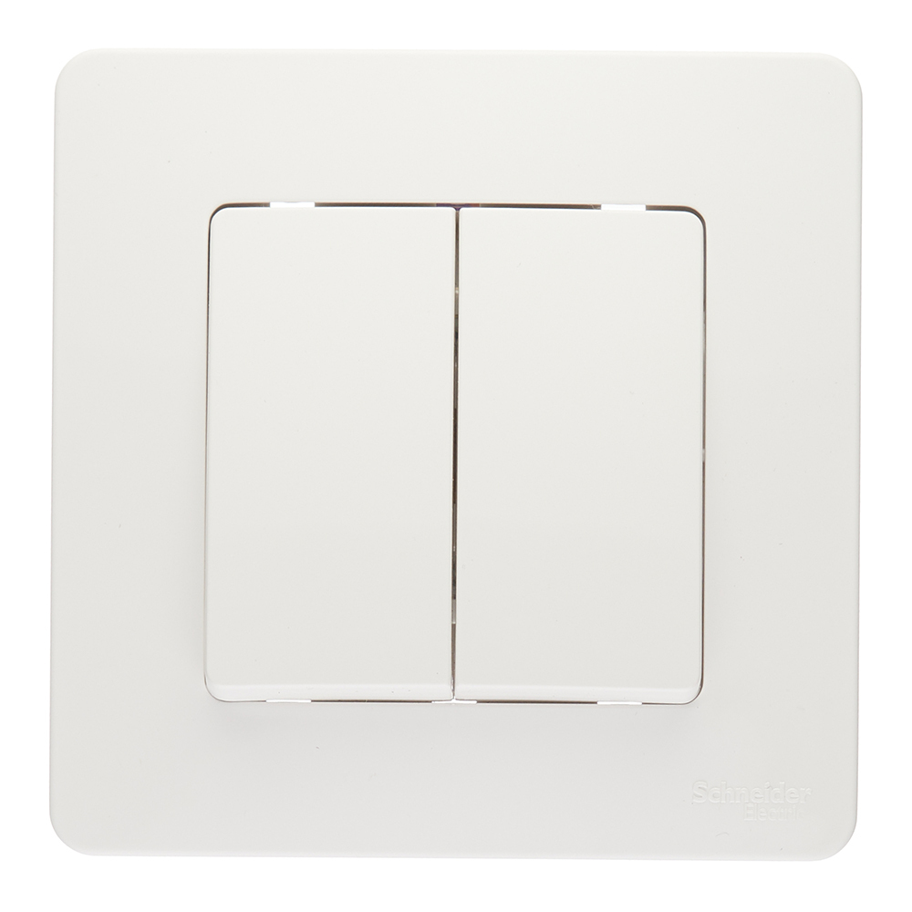 ������ ������ ������������� Systeme Electric Blanca ������������ ����� (BLNVS106601)   ����