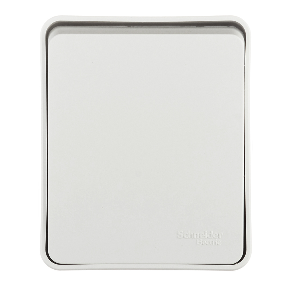 ������ ������ ����������� Systeme Electric AtlasDesign Profi54 ������������� ��������� ����� (ATN540115)   ����