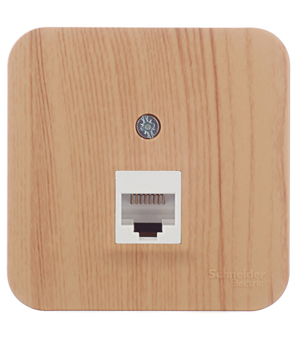 ������ ������ ������� ������������ Systeme Electric Blanca ��������� ����� RJ45 (BLNIA045005)   ����