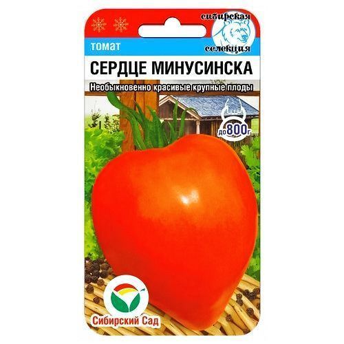 ������ ������ ����� ������ ���������� ��������� ���   ����