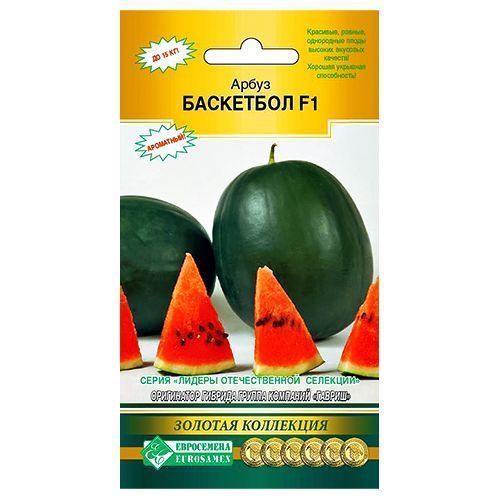 ������ ������ ����� ��������� F1 ����������   ����