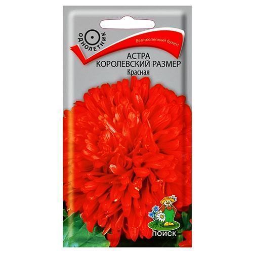 ������ ������ ����� ����������� ������ ������� �����   ����