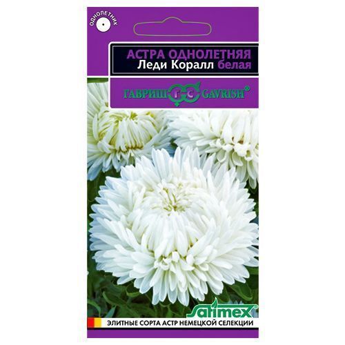 ������ ������ ����� ���� ����� ����� ������   ����