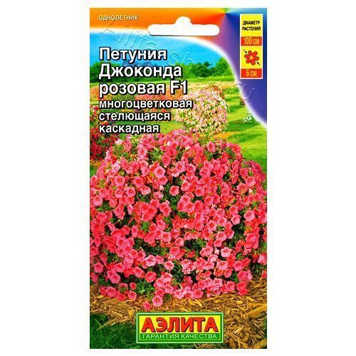 ������ ������ ������� ��������� �������� F1 ������� ������   ����