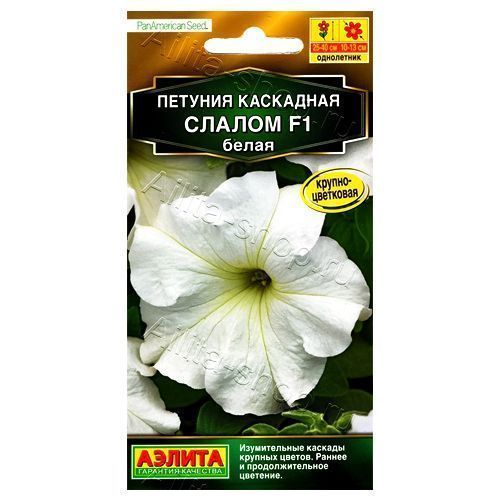 ������ ������ ������� ��������� ������ F1 ����� ������   ����