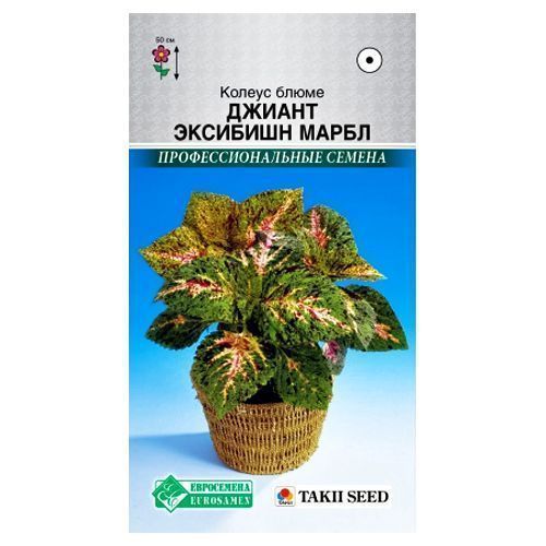 ������ ������ ������ ����� ������ �������� ����� ����������   ����