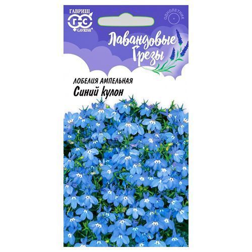 ������ ������ ������� ��������� ����� ����� ������   ����