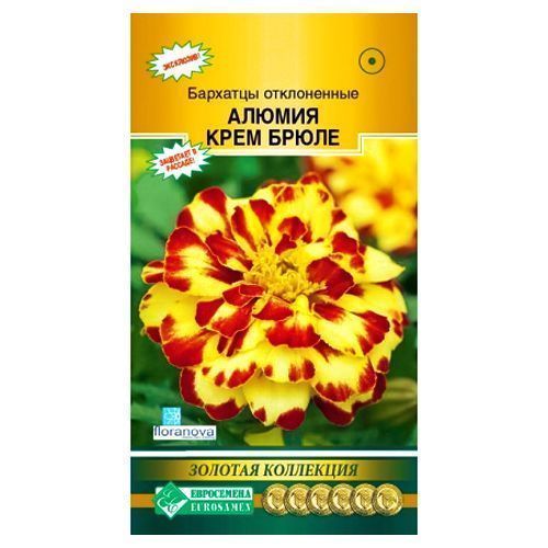 ������ ������ �������� ����������� ������ ���� ����� ����������   ����