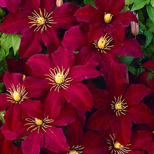 ������ ������ �������� �����   ����