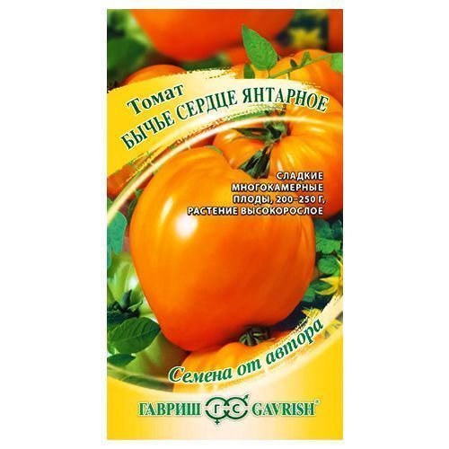 ������ ������ ����� ����� ������ �������� ������   ����