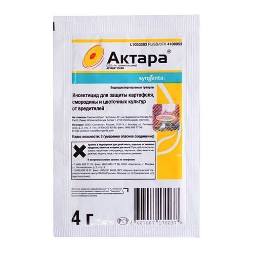 ������ ������ ������, �� ��������� ���������� 4 �   ����