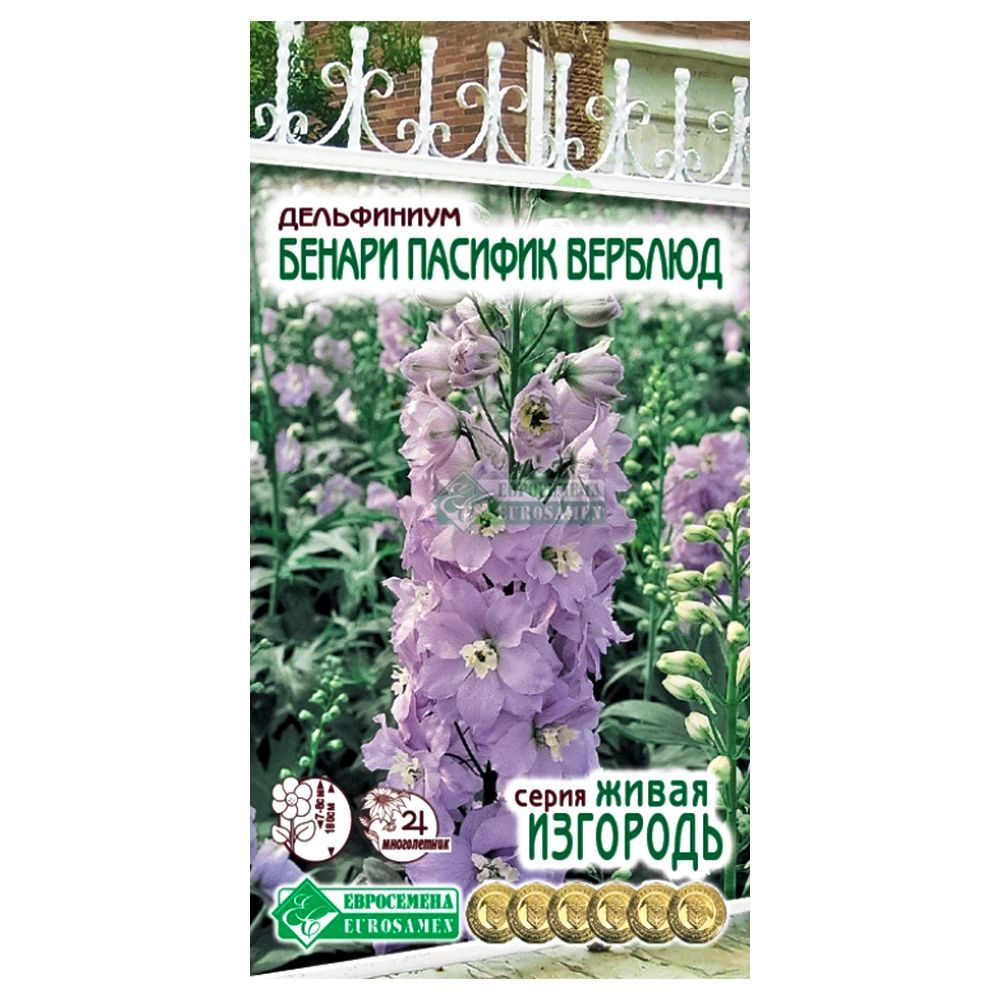 ������ ������ ���������� ������ ������� ������� ����������   ����