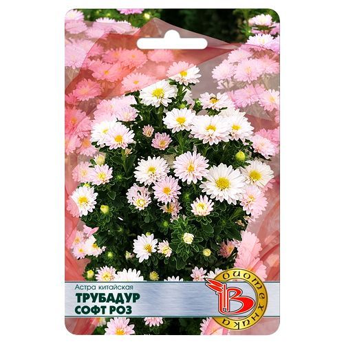 ������ ������ ����� ��������� �������� ���� ��� ����������   ����