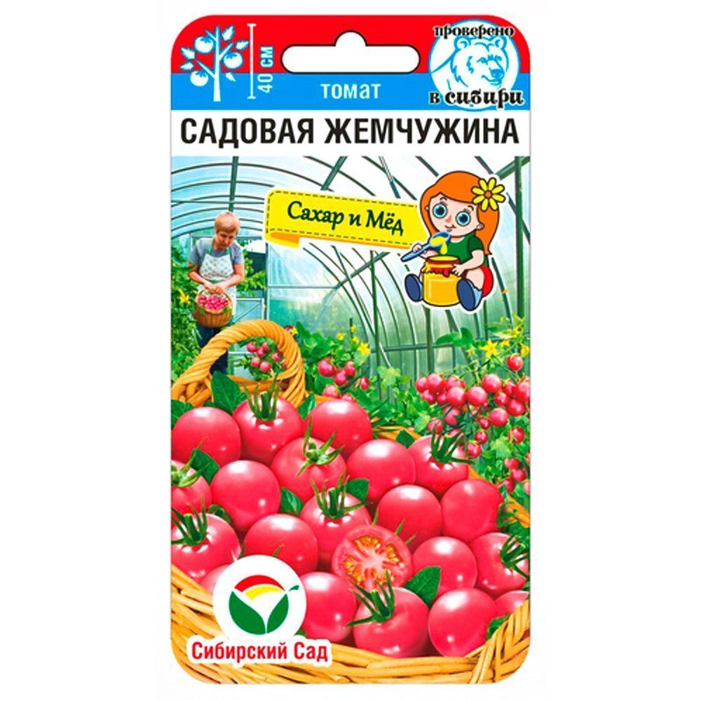 ������ ������ ����� ����� ������� ��������� ��������� ���   ����