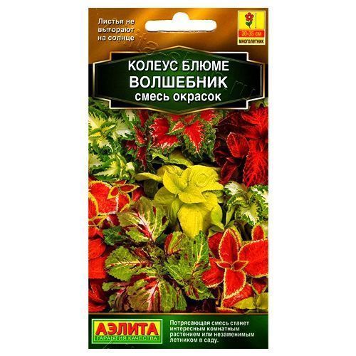 ������ ������ ������ ����� ���������, ����� ������ ������   ����