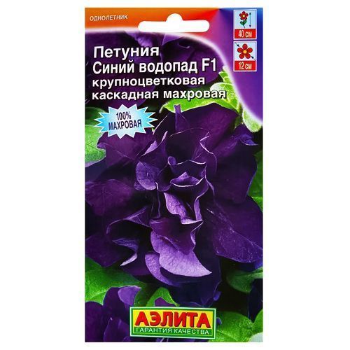 ������ ������ ������� ��������� �������� ����� ������� F1 ������   ����