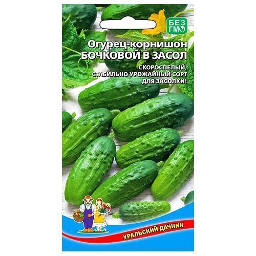 ������ ������ ������ �������� �������� � ����� ��������� ������   ����