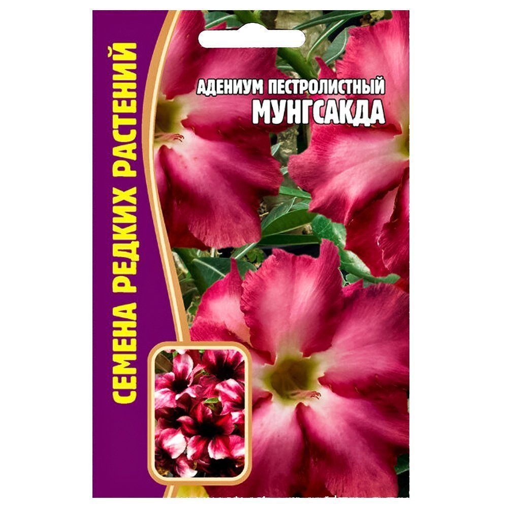 ������ ������ ������� ��������� ������ ������   ����