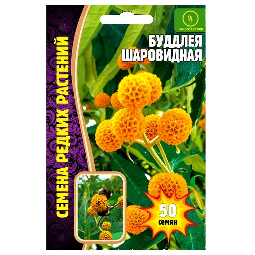 ������ ������ ������� ���������� ������ ������   ����