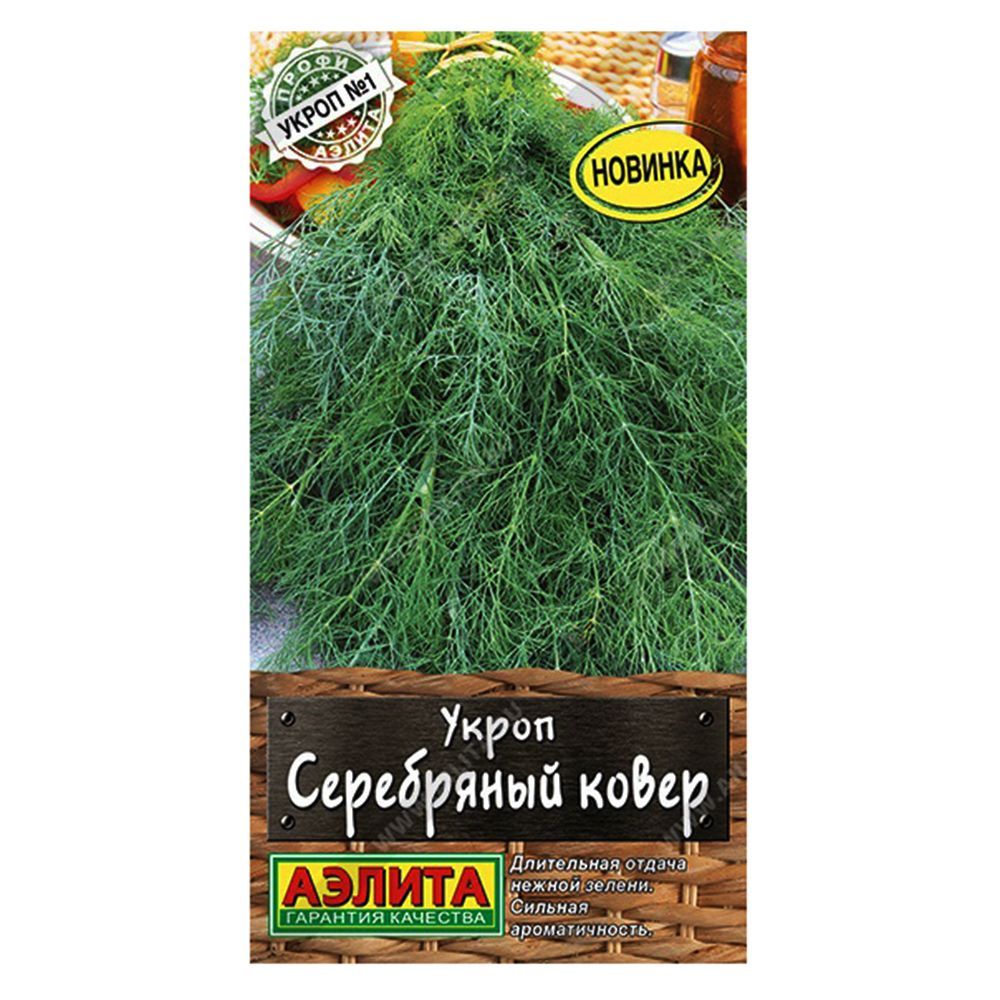 ������ ������ ����� ���������� ����� ������   ����