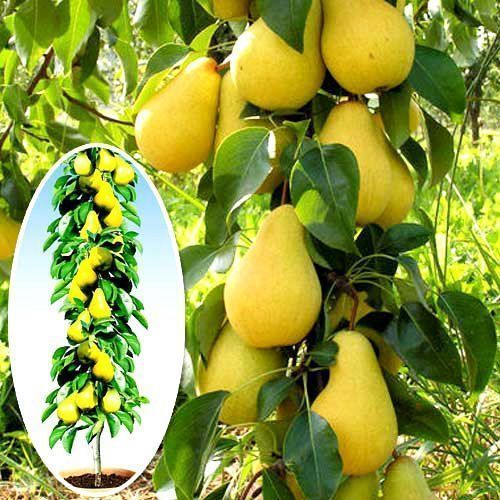 ������ ������ ����� ������������ ������   ����