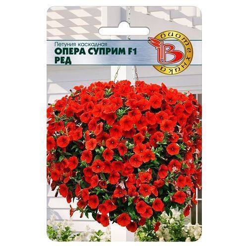 ������ ������ ������� ��������� ����� ������ F1 ��� ����������   ����