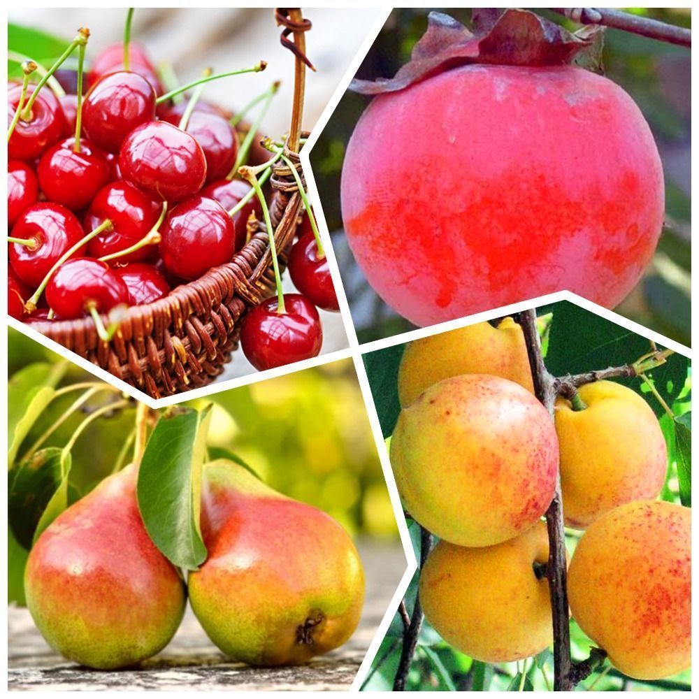 ������ ������ �����������! �������� �������� �������� 