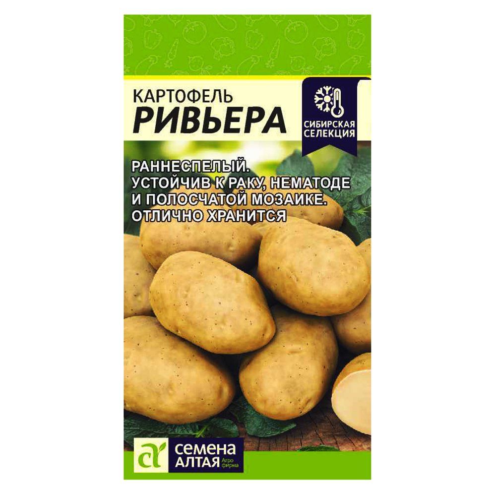 ������ ������ ��������� ������� ������ �����   ����