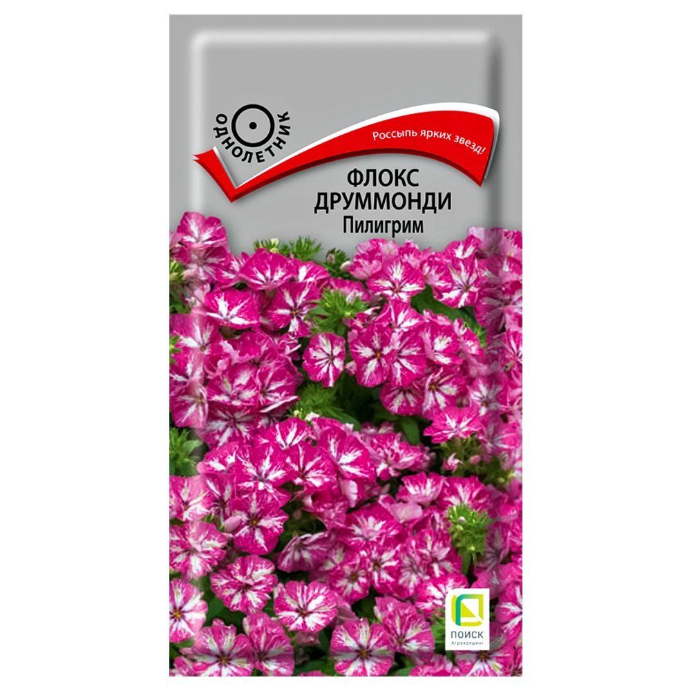 ������ ������ ����� ��������� �������� �����   ����