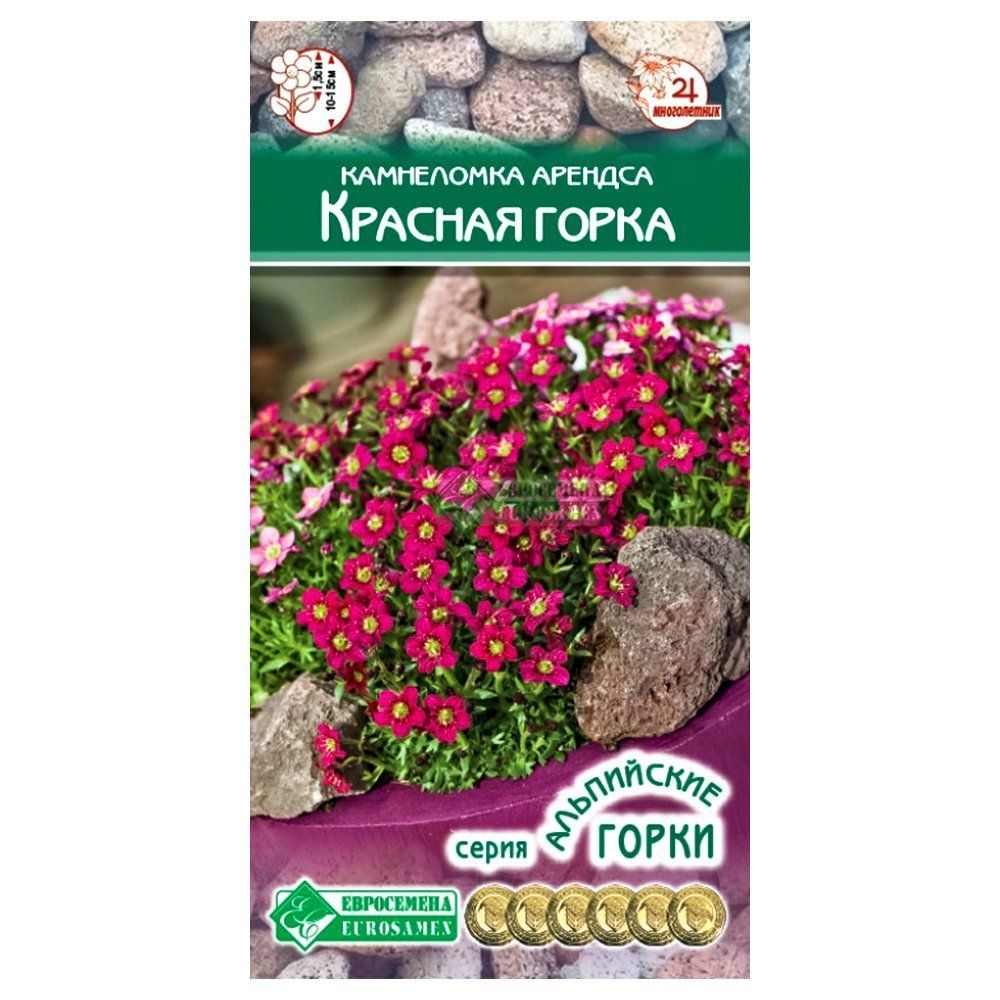 ������ ������ ���������� ������� ������� ����� ����������   ����