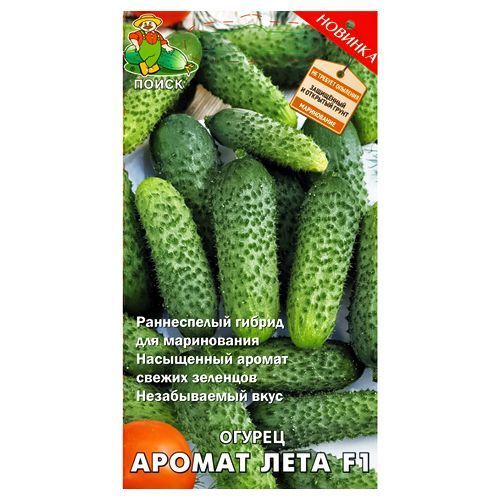 ������ ������ ������ ������ ���� F1 �����   ����