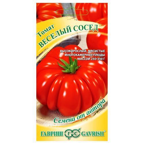 ������ ������ ����� ������� ����� ������   ����