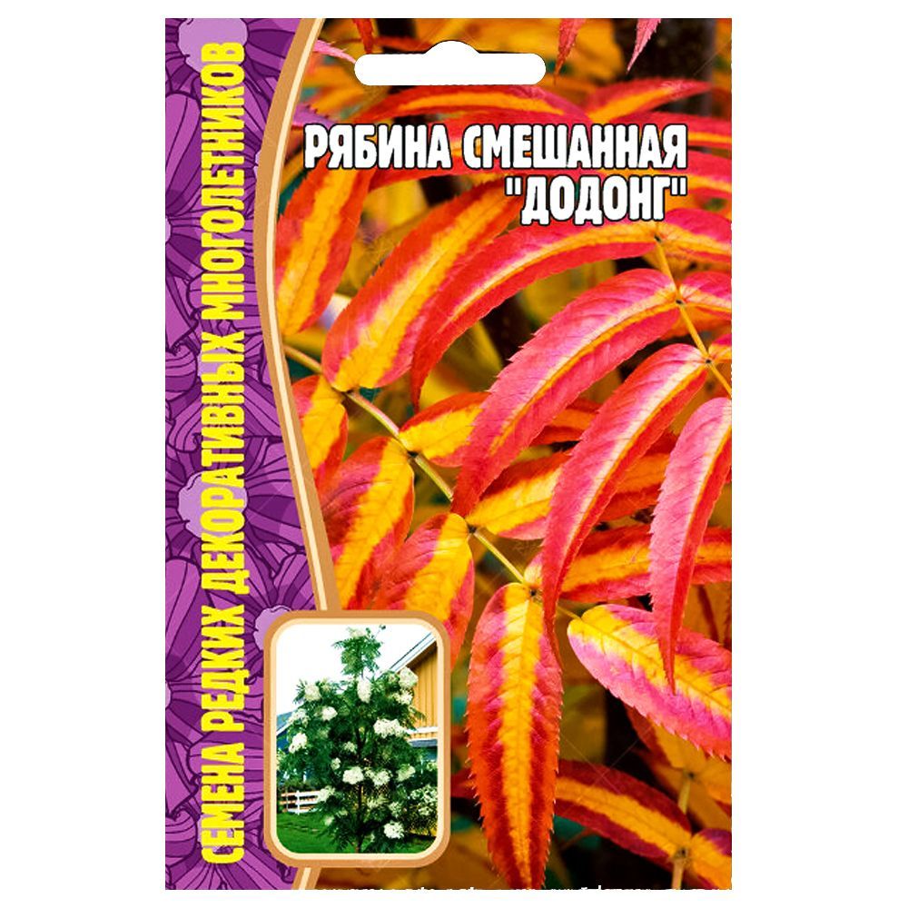 ������ ������ ������ ��������� ������ ������ ������   ����