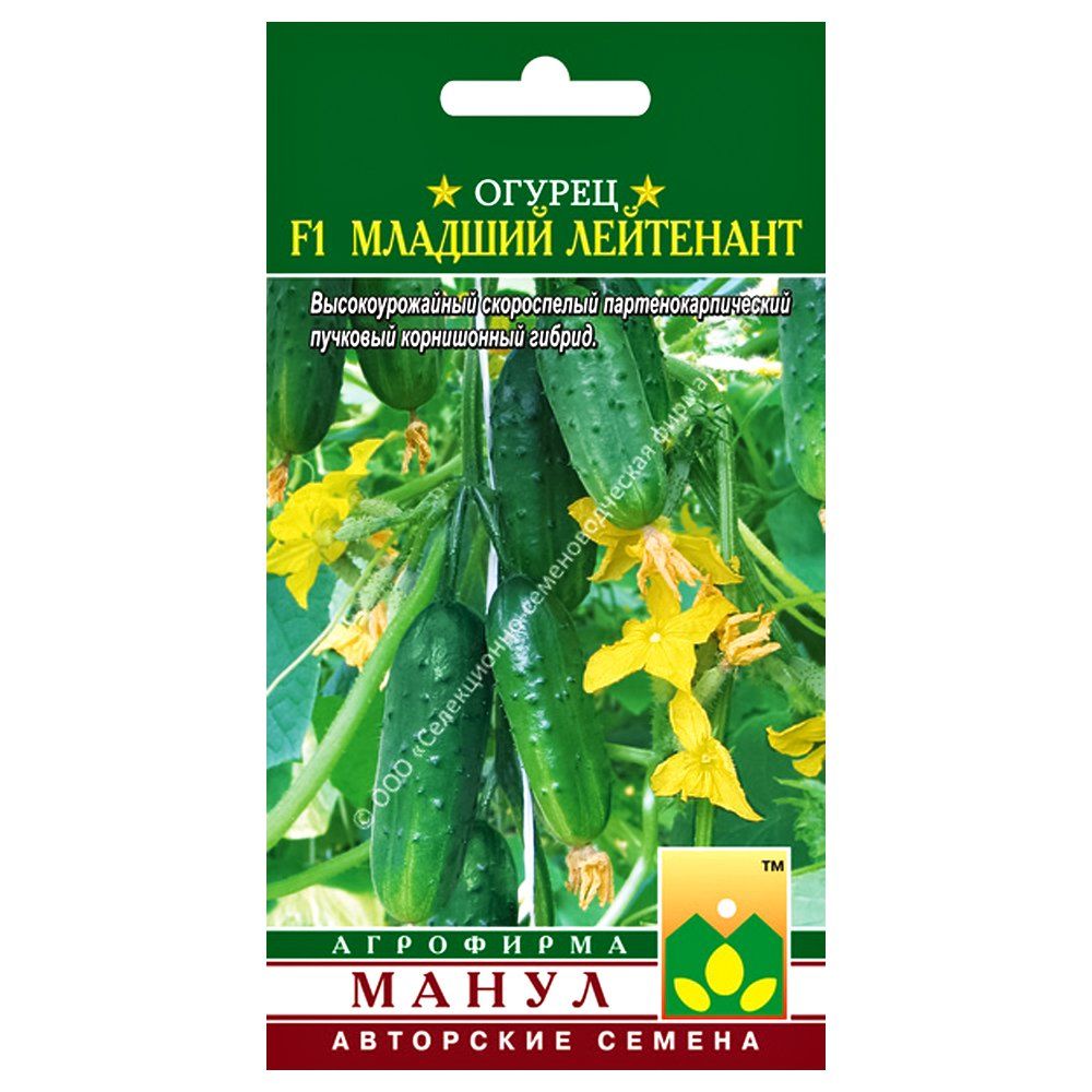 ������ ������ ������ ������� ��������� F1 �����   ����