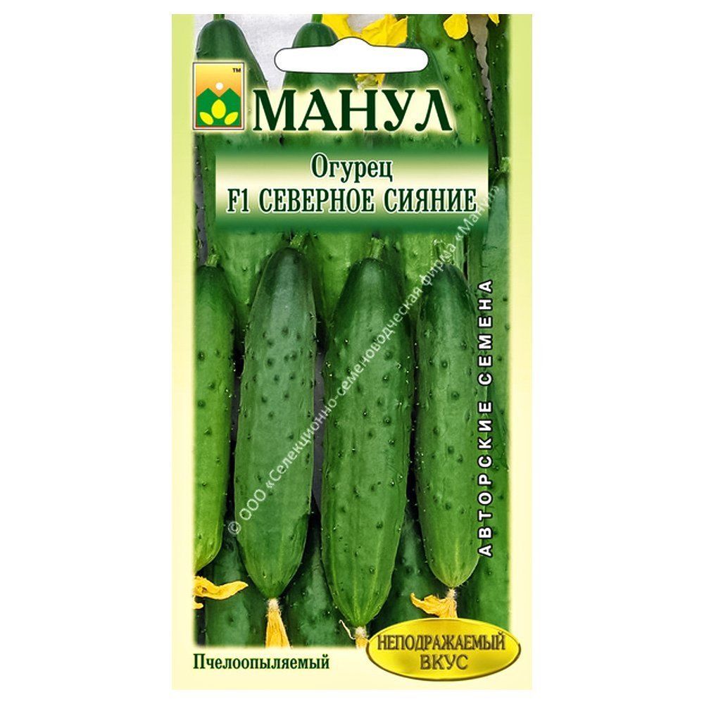 ������ ������ ������ �������� ������ F1 �����   ����