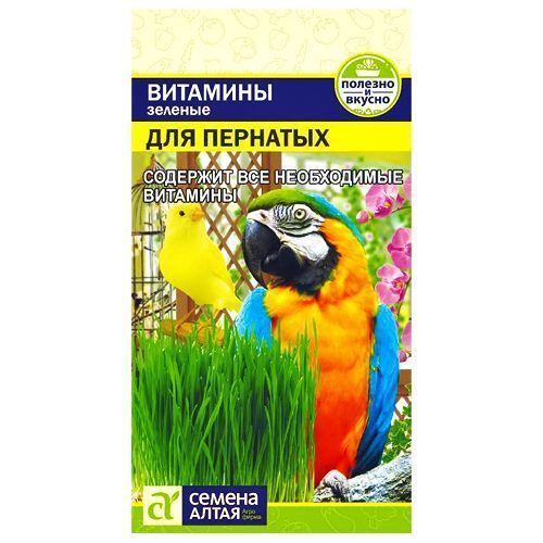 ������ ������ ������� �������� ��� �������� ������ �����   ����