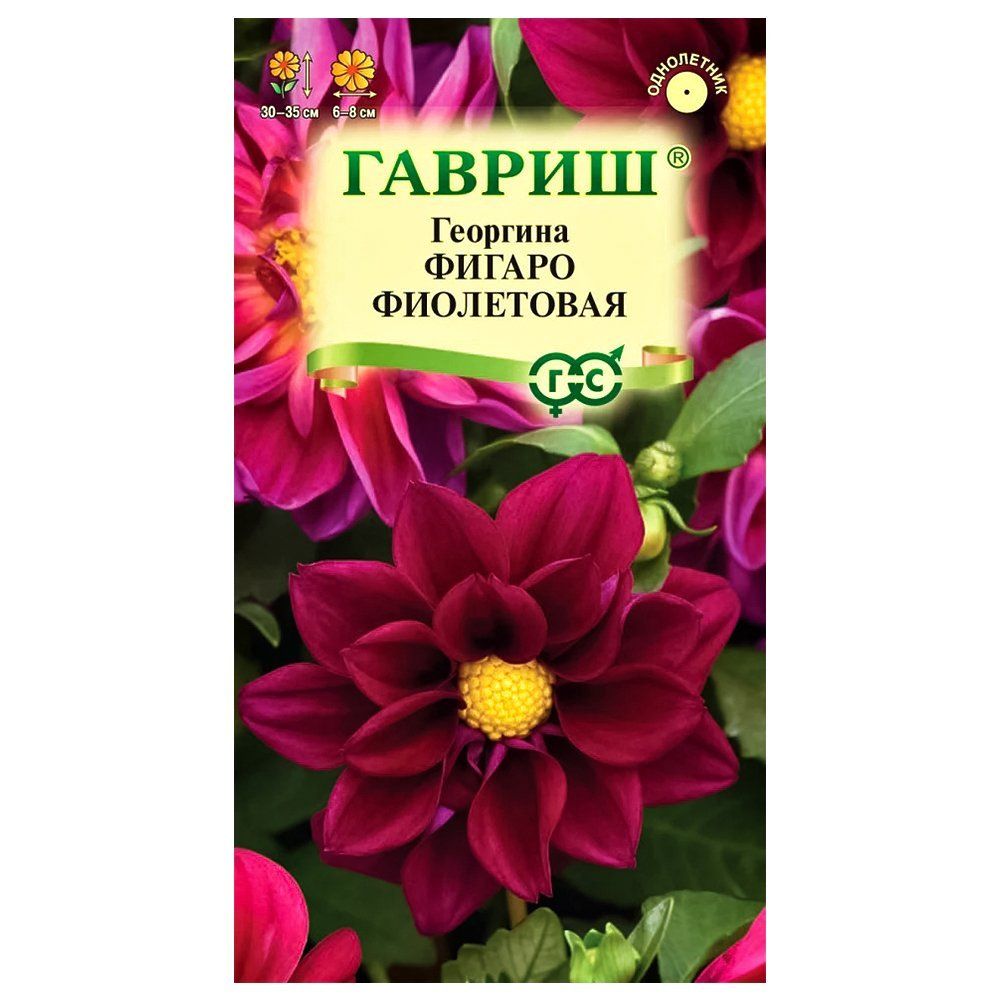 ������ ������ �������� ������ ���������� ������   ����