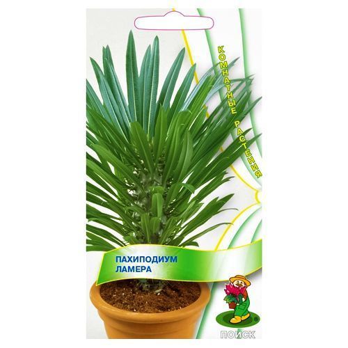 ������ ������ ���������� ������ �����   ����